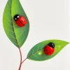 Card Ladybird
