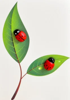 Card Ladybird