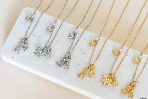 Disney Necklace Charm Bag
