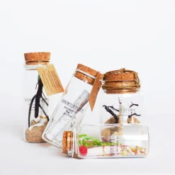 Message in a Bottle Rose Blue